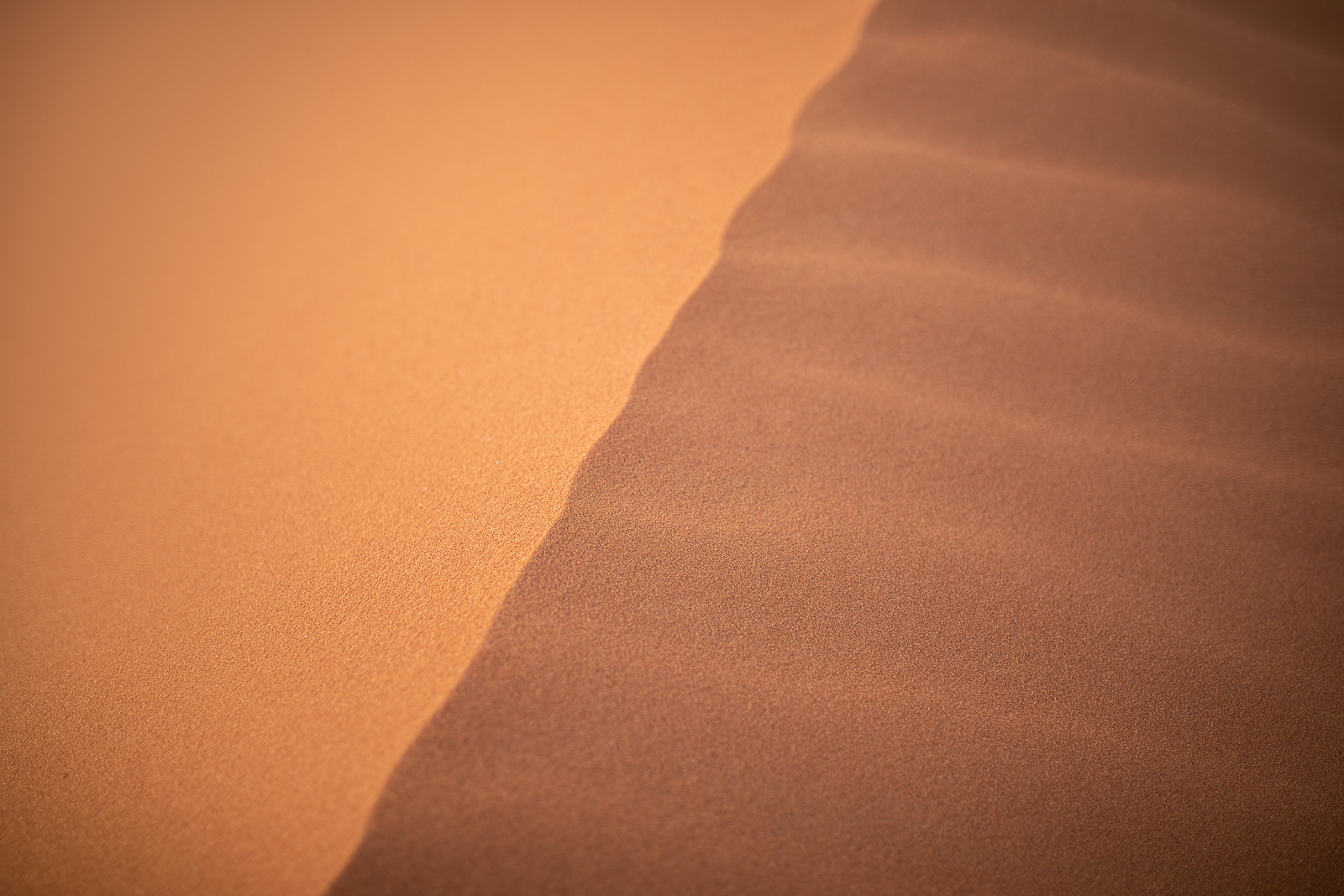 Human & Nature  outoftime 95